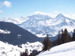 tn_2005_03_18-20_skifahren_hidde_25.jpg