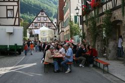 tn_2008_07_12_schluck_07.jpg