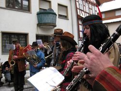 tn_2009_02_23_rosenmontag_06.jpg