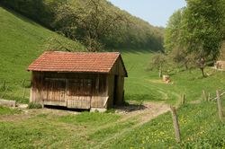 tn_2009_05_01_maiwanderung_04.jpg