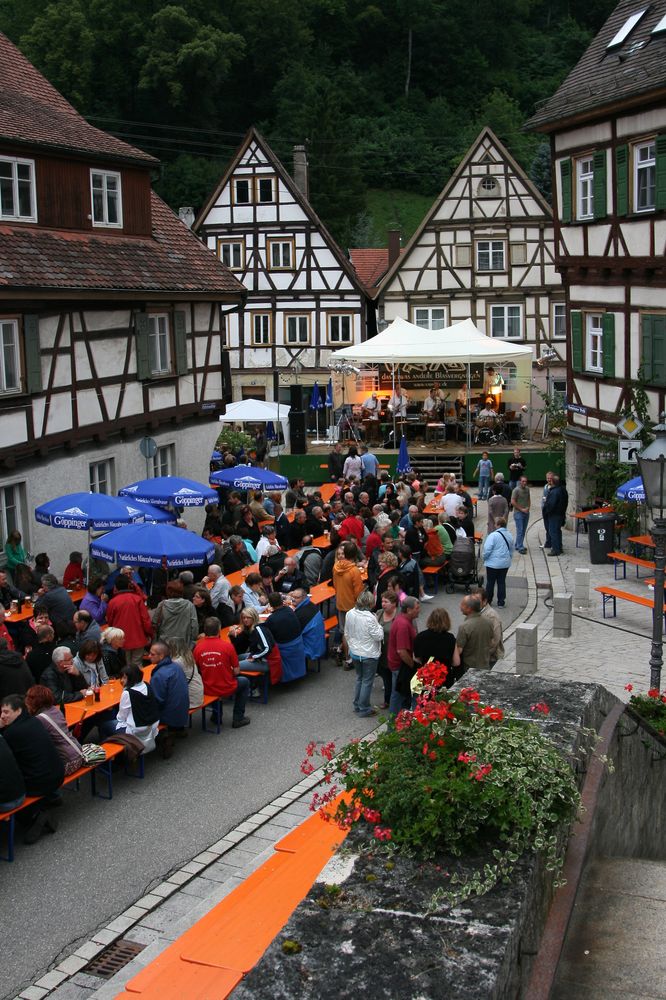 2010_07_17_wiesensteiger_schluck_14.jpg
