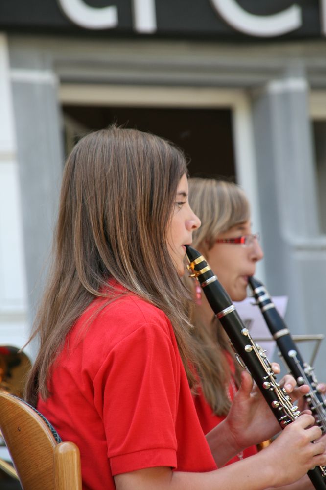 2010_07_18_taelesmusikertreffen_2010_01_22.jpg