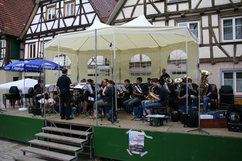 2010_07_18_taelesmusikertreffen_2010_01_30.jpg