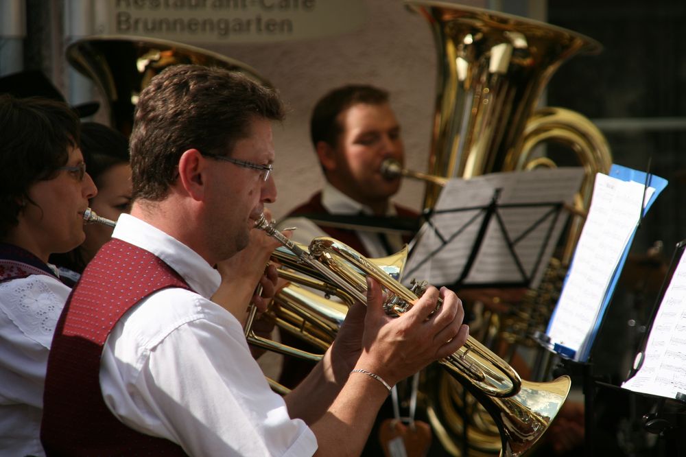 2010_07_18_taelesmusikertreffen_2010_02_67.jpg