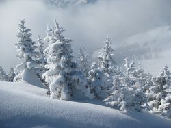 tn_2013_02_22-24_skifahren_hirschegg_03.jpg
