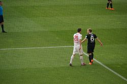 tn_2015_05_09_vfb-fsv_mainz_15.jpg